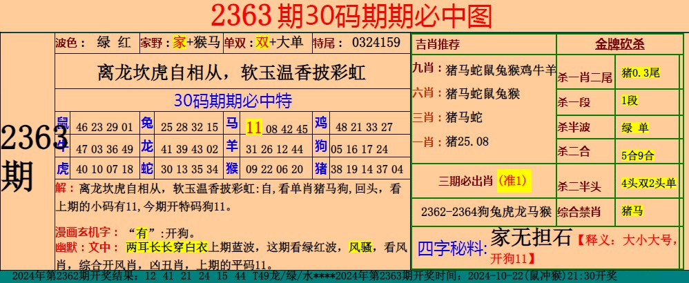  小鱼儿30码期期中