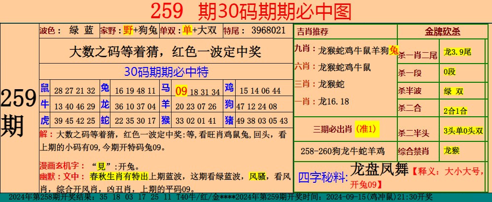  小鱼儿30码期期中