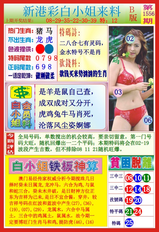  新港彩白小姐来料B版